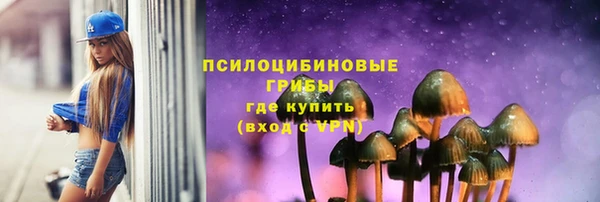дурь Алексин