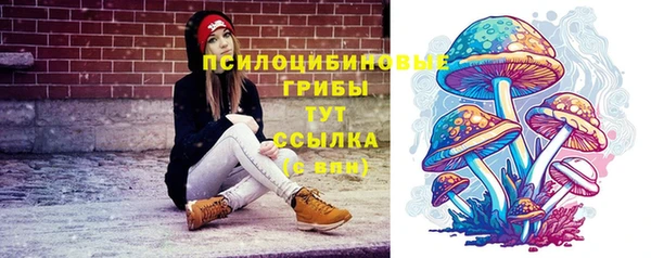 первитин Армянск