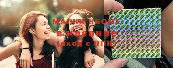 дмт Ельня