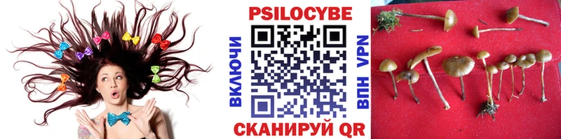 Псилоцибиновые грибы MAGIC MUSHROOMS Спас-Деменск
